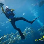 Fethiye scuba diving price 2023